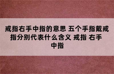 戒指右手中指的意思 五个手指戴戒指分别代表什么含义 戒指 右手 中指